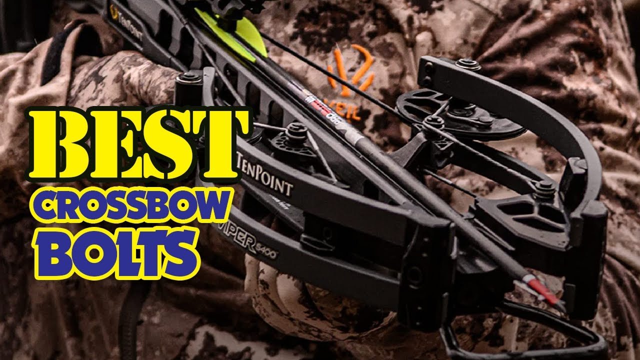 best crossbow bolts for hunting, hunting crossbow bolts 2025, Ravin .003 arrows, TenPoint EVO-X CenterPunch bolts, Black Eagle Executioner bolts, Easton FMJ crossbow bolts, Bloodsport carbon crossbow bolts, heavy crossbow bolts for big game, carbon bolts for hunting, crossbow arrows for deer, crossbow bolts for elk, crossbow bolts with brass inserts, premium crossbow bolts, crossbow hunting bolts Australia, best bolts for TenPoint crossbows, Ravin crossbow bolt compatibility, crossbow bolts with alpha nocks, lighted nock crossbow bolts, 20 inch hunting bolts, 22 inch crossbow bolts, bolts for high-speed crossbows, crossbow bolt penetration, best FOC crossbow bolts, durable hunting bolts, crossbow ammunition for sale, crossbow bolts global shipping, top-rated bolts for crossbows, carbon-aluminum crossbow arrows, hunting bolts with high FOC, crossbow bolt review 2025, crossbow bolts with vanes, hunting gear for crossbows, high-accuracy crossbow bolts, best arrows for crossbow hunting, heavy kinetic energy crossbow bolts, beginner crossbow bolts, professional hunting bolts, crossbow bolts with Blood Ring, best spine-rated bolts, crossbow bolt performance.